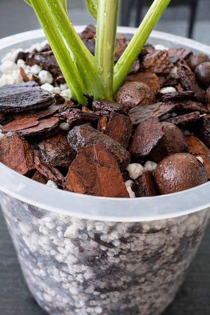 ROOTLABS Aroid Mix – Professional Structural Substrate (10L)